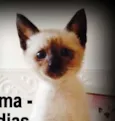 Wilma