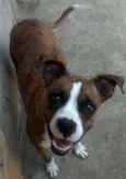Penelope