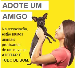 Cachorro raça Dv idade  nome Vários filhotes e a