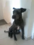 MARVIN