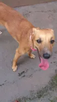 Nina