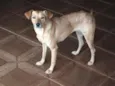Linda menina