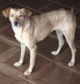 Linda menina