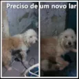 Pudim