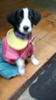 Valentina