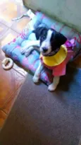 Valentina