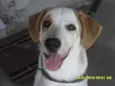Sapatão