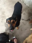 Kiara