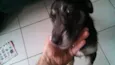 Negão