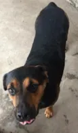 Kiara