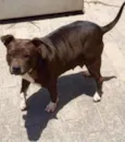 Rubi