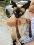 --->LINDA<---