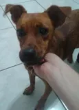 nao tem