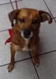 Lala