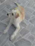 Mirela