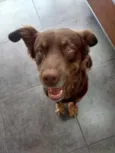 Não tem