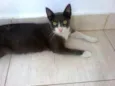 Teodora