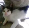 Princesa