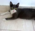 Teodora
