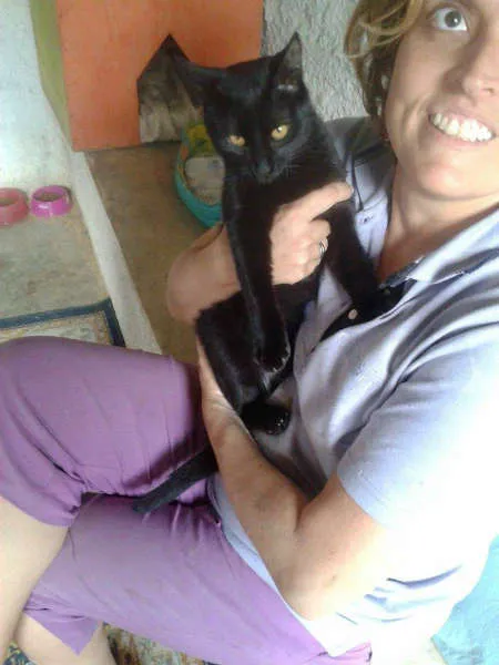 Gato ra a SRD idade 1 ano nome NEGRESCO