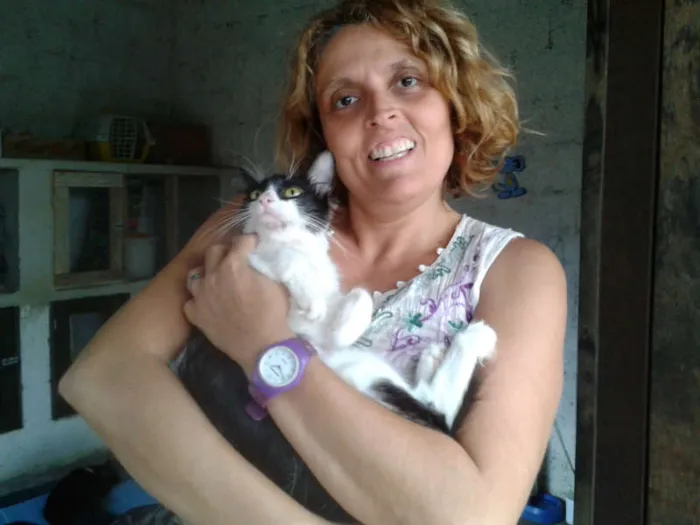 Gato ra a SRD idade 1 ano nome VICKY