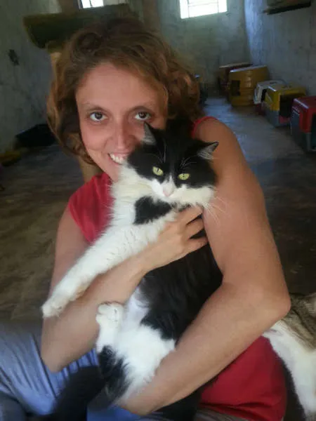 Gato ra a SRD idade 1 ano nome VICKY
