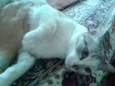 hanna