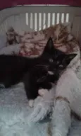 CHARLOTE E ZEUS