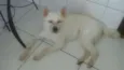 Nina