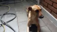 NAO SEI