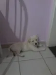 mag