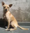 Espirro