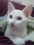 Charlie