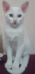 Charlie