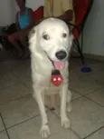 Principe