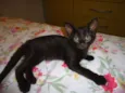 Indefinido