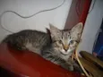 Indefinido