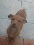 Paçoca