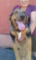 Zeus