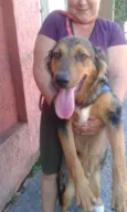 Zeus