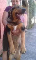 Zeus