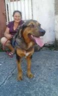 Zeus