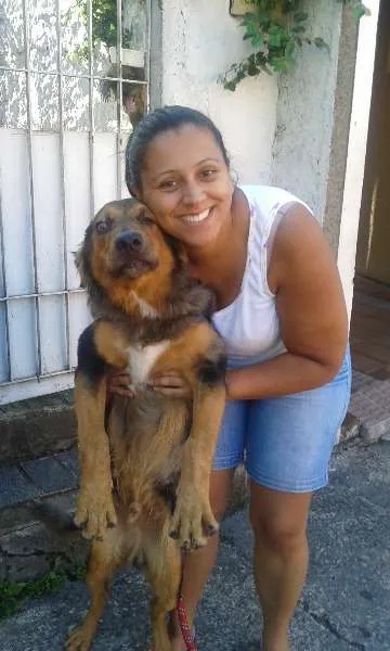 Cachorro ra a SRD idade 1 ano nome Zeus