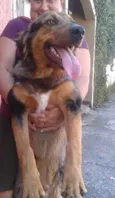 Zeus