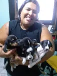 BEBES