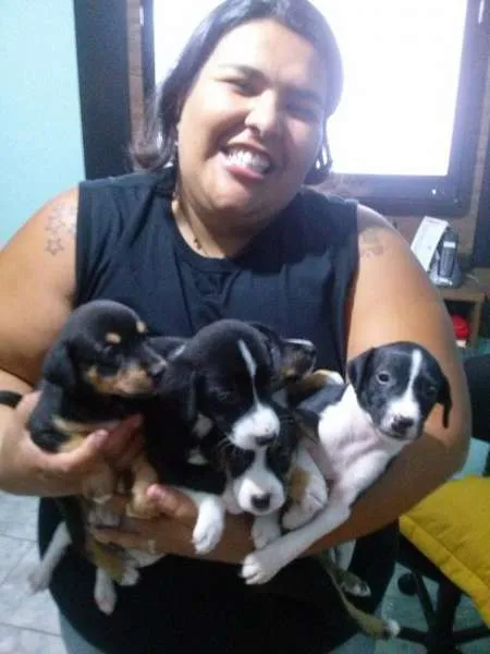 Cachorro ra a SRD idade Abaixo de 2 meses nome BEBES