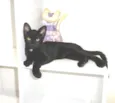 Klaus