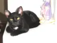 Klaus