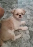 BOB