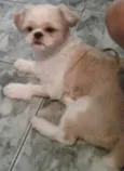 BOB